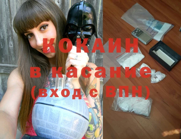 ГАЛЛЮЦИНОГЕННЫЕ ГРИБЫ Козловка