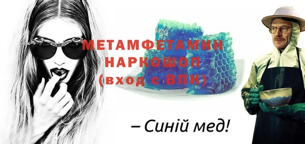 ГАЛЛЮЦИНОГЕННЫЕ ГРИБЫ Козловка