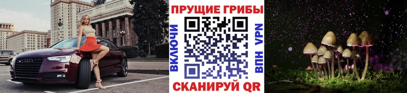 Галлюциногенные грибы Psilocybe Купить Озёрск